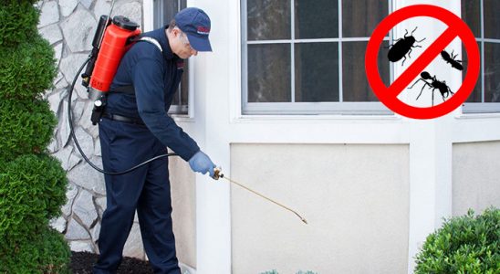Ergani Hamam Böceği İlaçlama böcek ilaçlama ve haşere kontrolü — ilaclama-tr.com